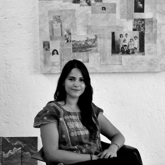 Collector MX | Plataforma de arte contemporáneo | Samia Farah